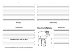 Ziege-Faltbuch-vierseitig-3.pdf